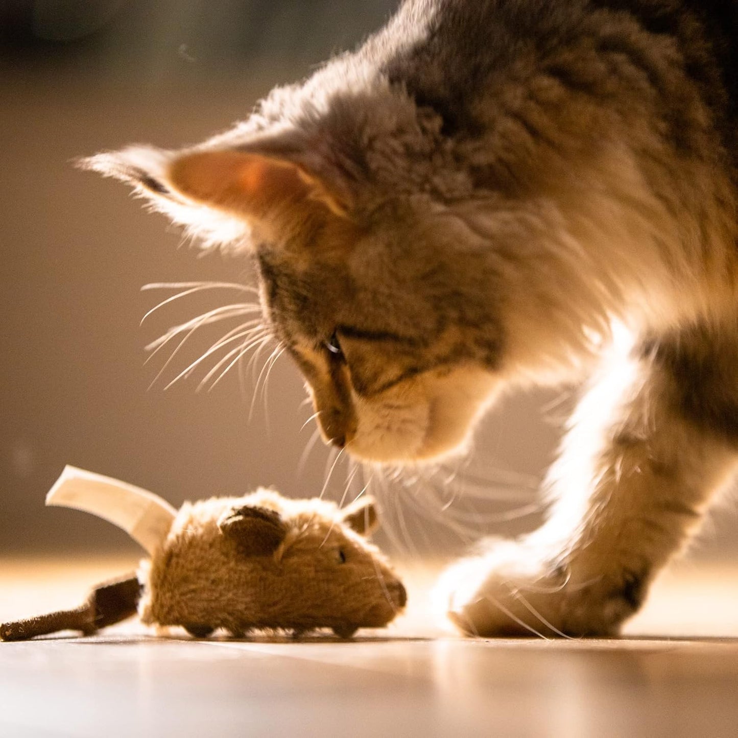 Cat Toys Interective Automatic Moving Mouse Kitten Toys with Real Mice Sound Electric Squeaky Random Moving Kitty Toys for Indoor Cats Chasing Self Play Fun Cat Toy for Boredom
